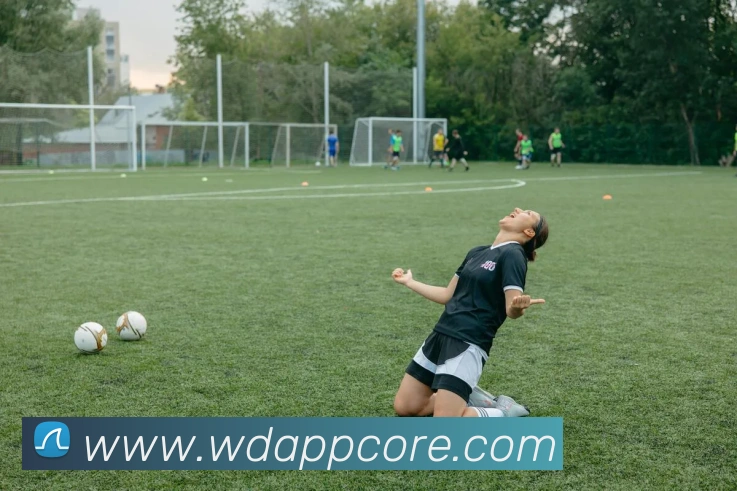 问鼎appAPP 封面图